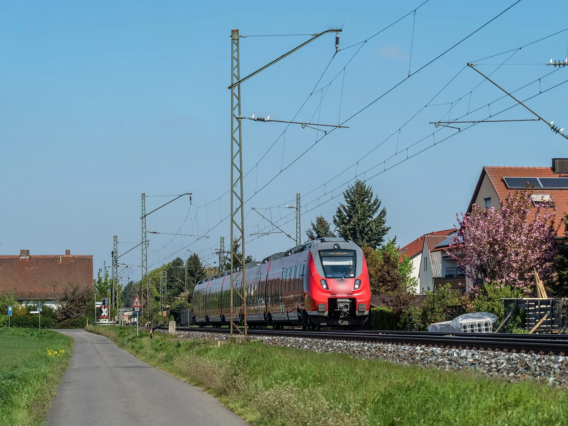 Un chemin cyclable longe une voie ferrée où passe un train régional rouge, un arbre en fleurs au bord