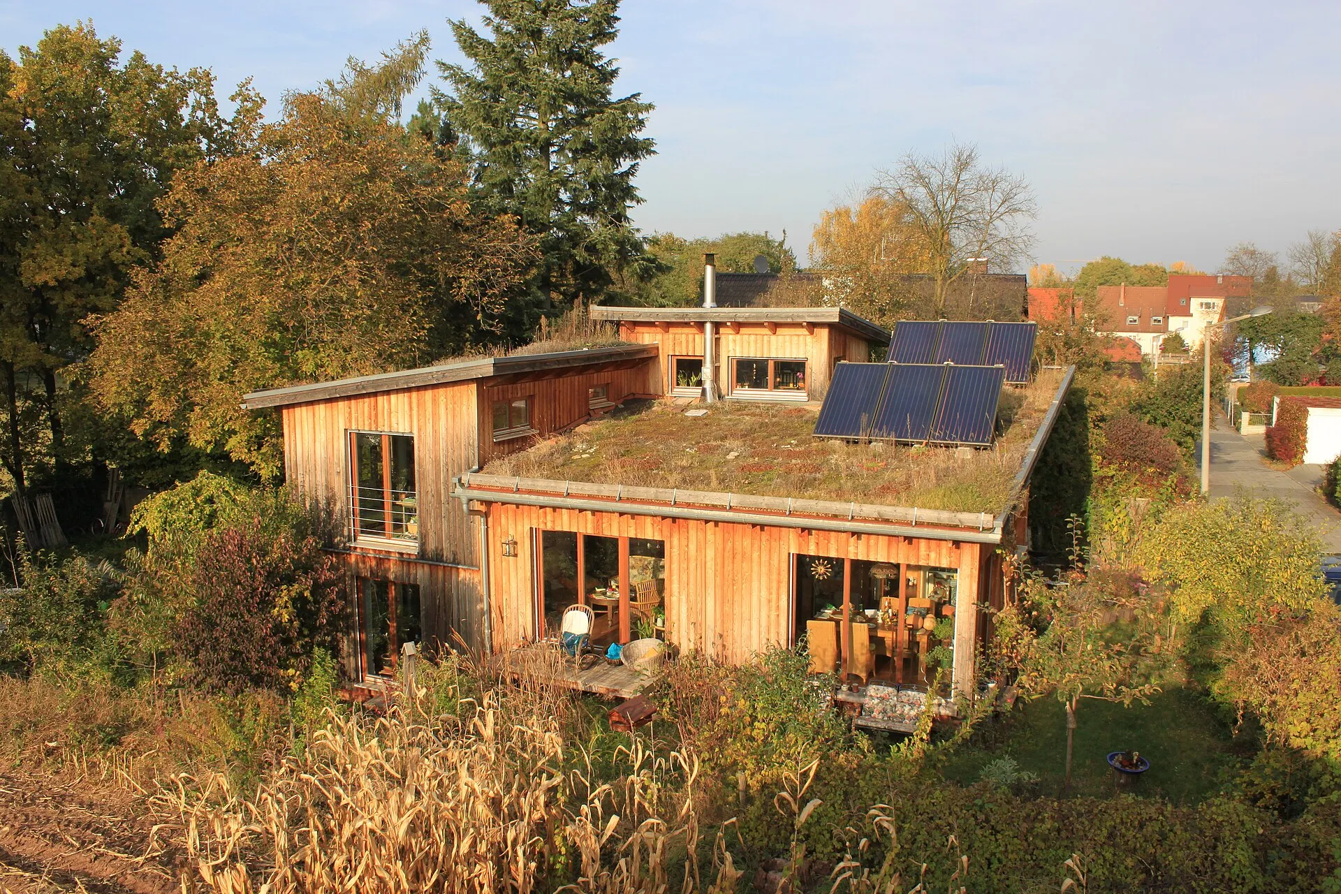 Maison à ossature bois avec toit végétalisé et panneaux solaires, dans la lumière d’automne